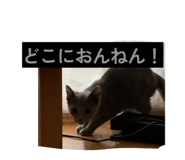 862969368