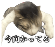 862969386