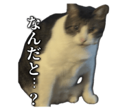 862969387