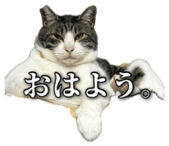862969390