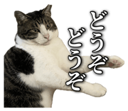 862969394