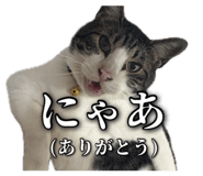 862969399