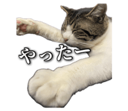 862969403