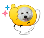 862969447