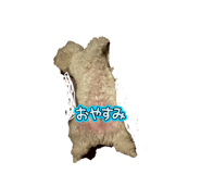 862969454