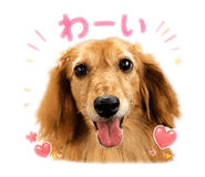862969468