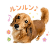 862969470