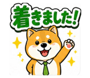 862969506