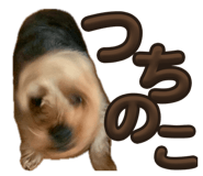 862969567