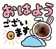 862969573