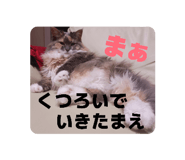 862970222