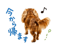 862971051