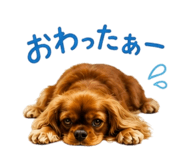 862971076