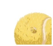 862971100