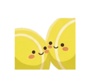 862971102