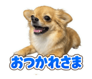 862971829