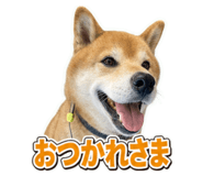 862971830