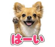862971831