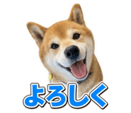 862971836
