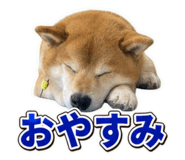 862971840