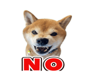 862971844