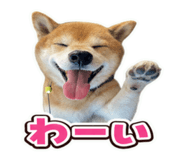 862971846