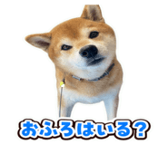 862971849
