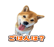862971850