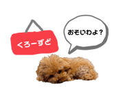 862971858