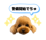 862971874
