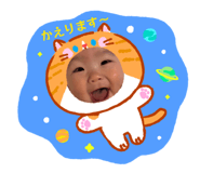 862972558