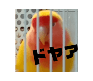 862974565