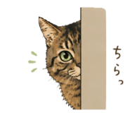 862974666