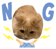 862975210