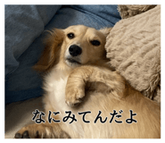 862976628