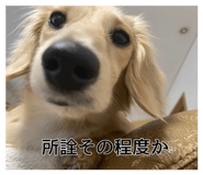 862976631