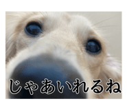 862976638