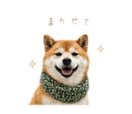 862976944