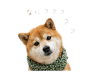 862976946