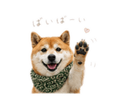 862976948
