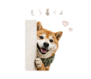 862976949