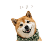 862976950