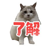862976973