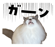 862976985