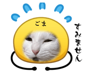 862977538