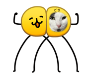 862977543