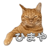 862978303
