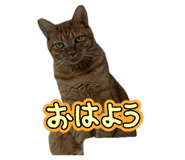 862978310