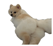 862978665