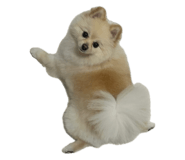 862978666